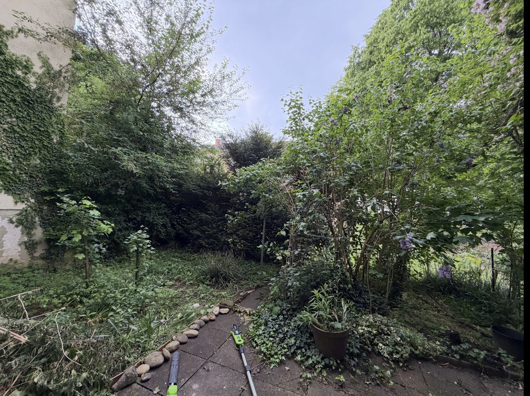 Vorher – Gartenpflege, Bildpaar 11